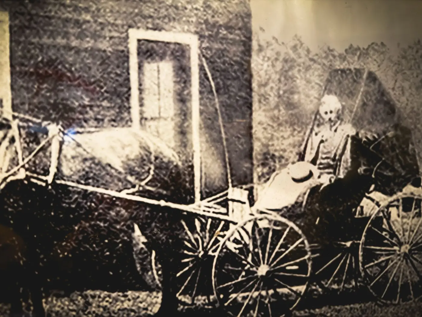 Dr. Haynes' carriage